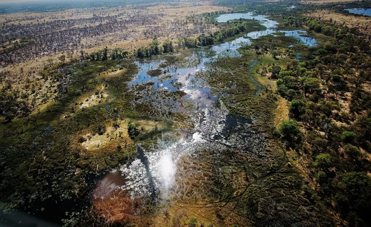 The Okavango Delta. Image by Freek Van Ootegem