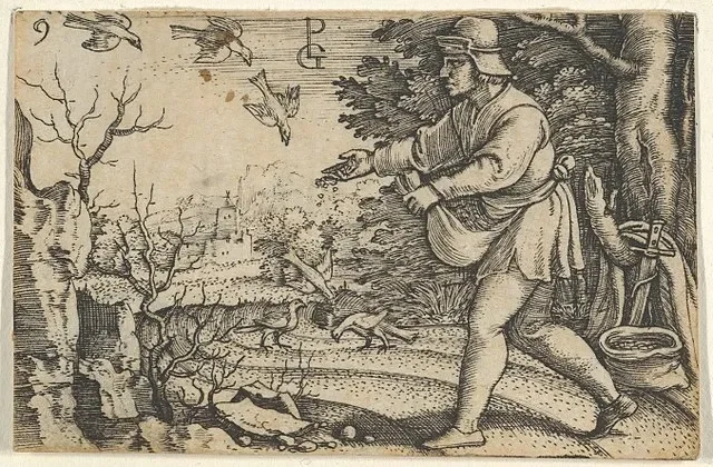 An illustration of the Parable of the Sower by Georg Pencz (1500-1550)